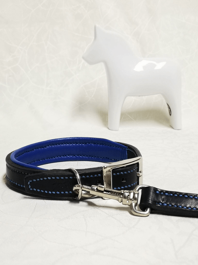 Ensemble "Azur" - collier pour chien et laisse