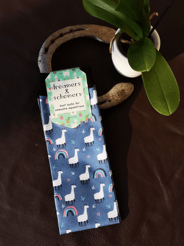 Chaussettes Dreamers N Schemers