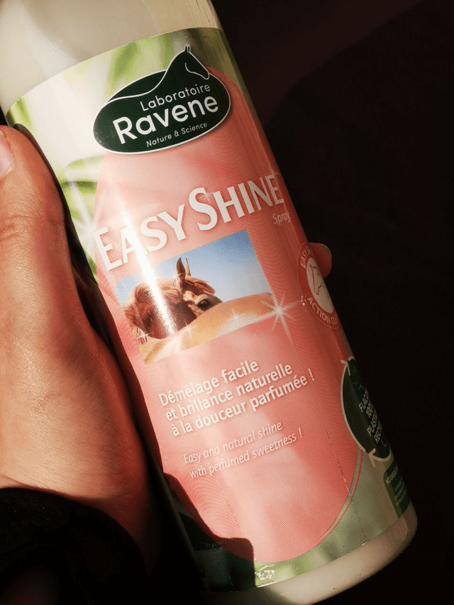 Spray Easy Shine – Ravene