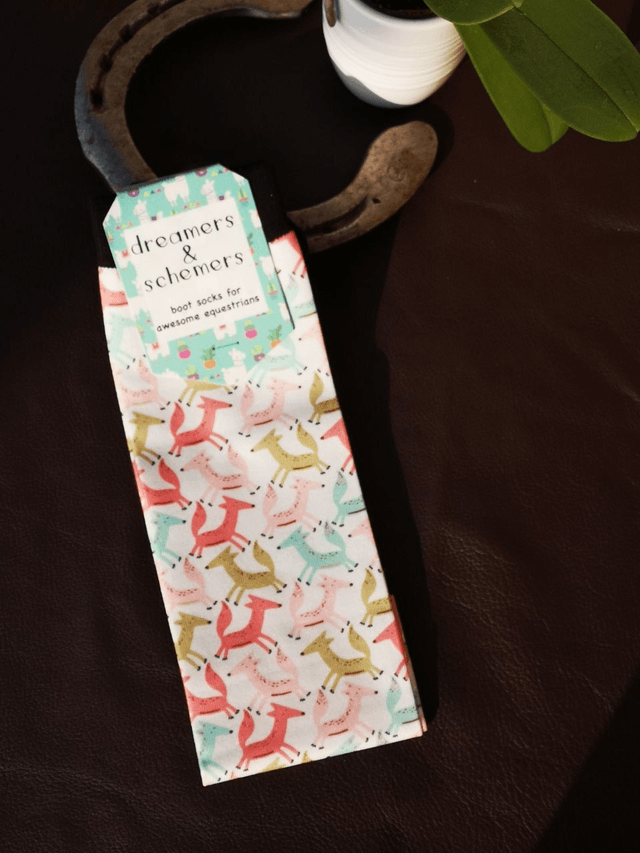 Chaussettes Dreamers N Schemers