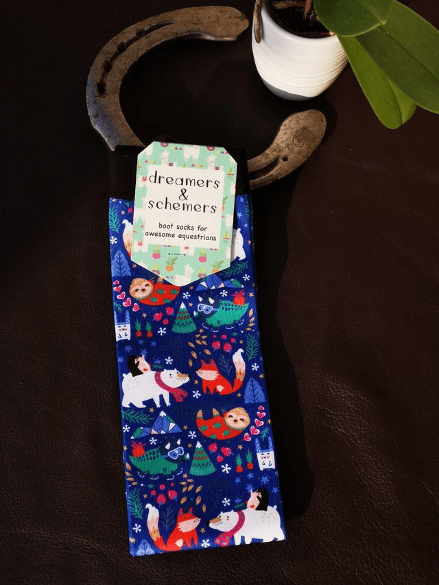 Chaussettes Dreamers N Schemers