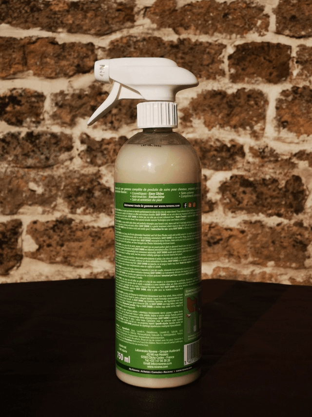 Spray Easy Shine – Ravene