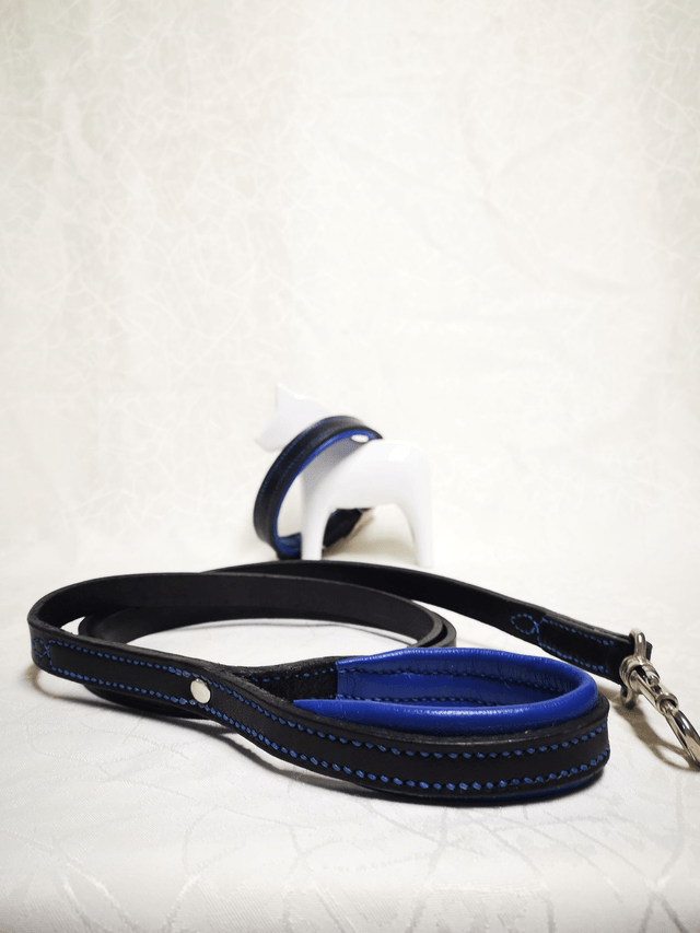 Ensemble "Azur" - collier pour chien et laisse