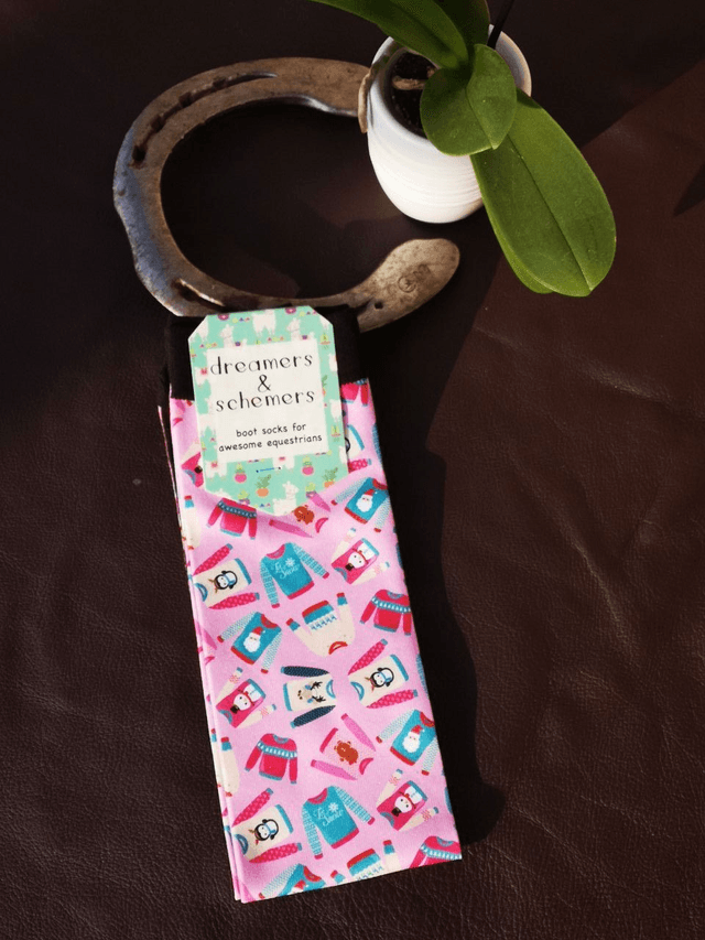 Chaussettes Dreamers N Schemers