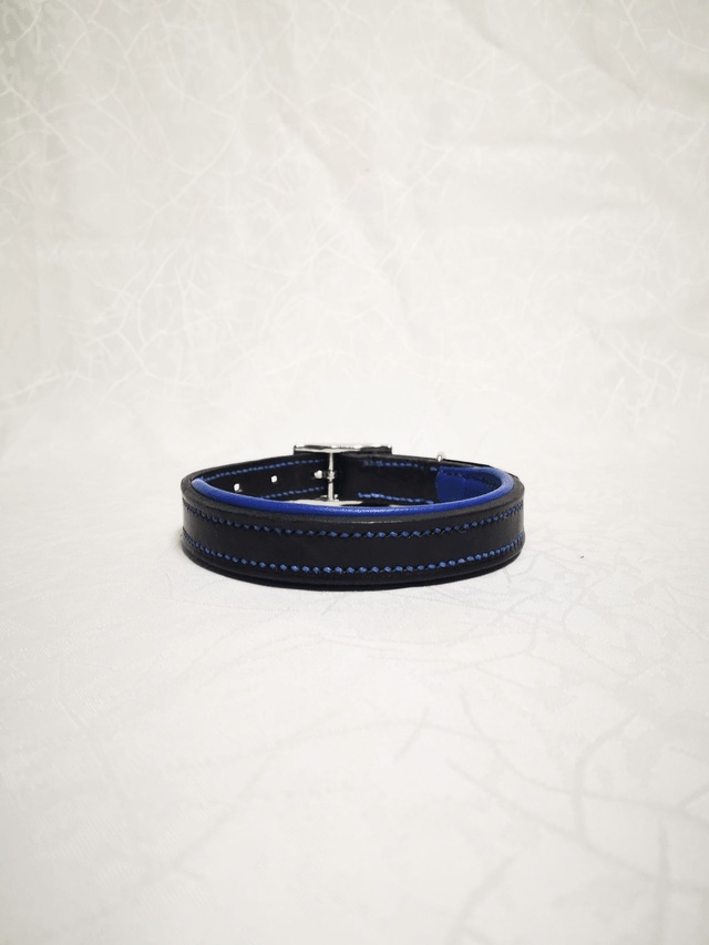 Ensemble "Azur" - collier pour chien et laisse