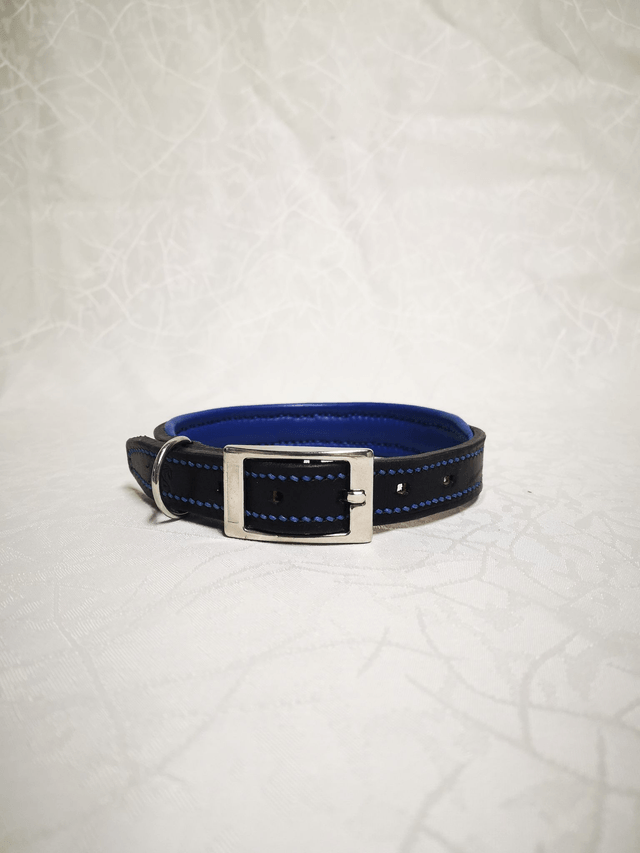 Ensemble "Azur" - collier pour chien et laisse