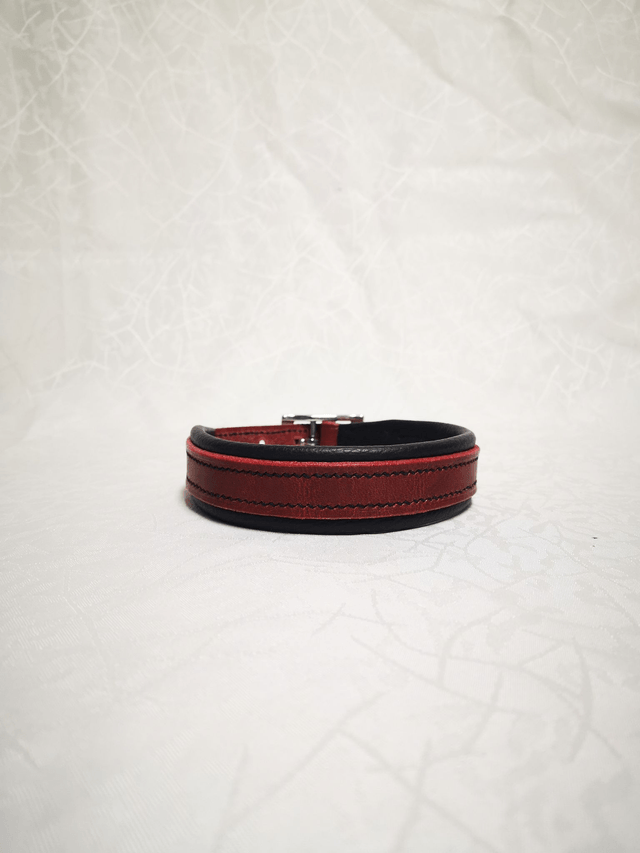 Collier pour chien "Écarlate"