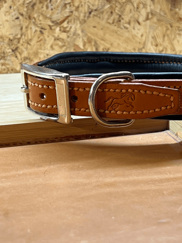 Collier pour chien "Solstice"