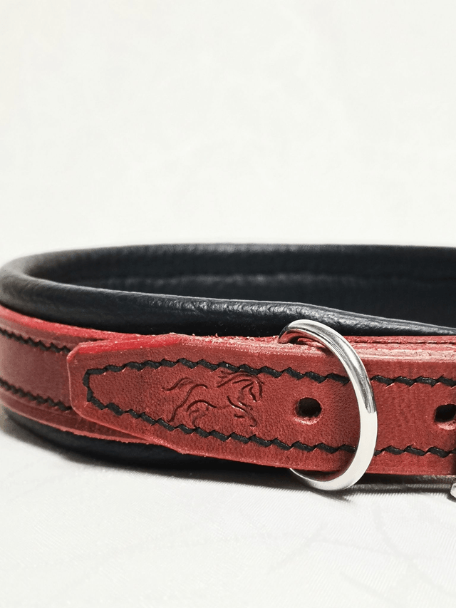 Collier pour chien "Écarlate"