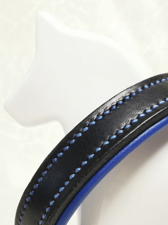 Ensemble "Azur" - collier pour chien et laisse