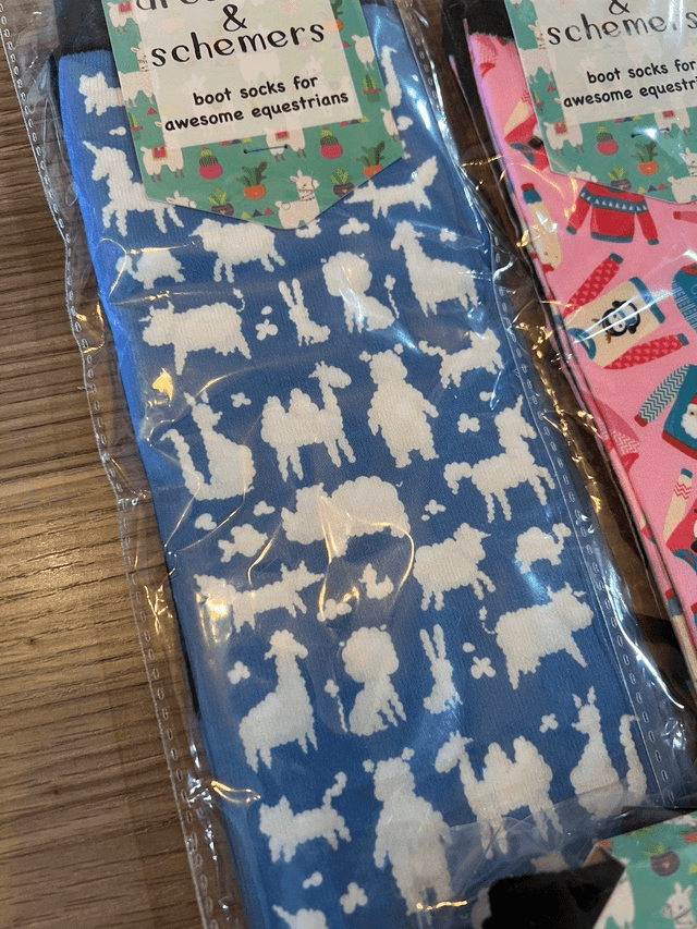 Chaussettes Dreamers N Schemers