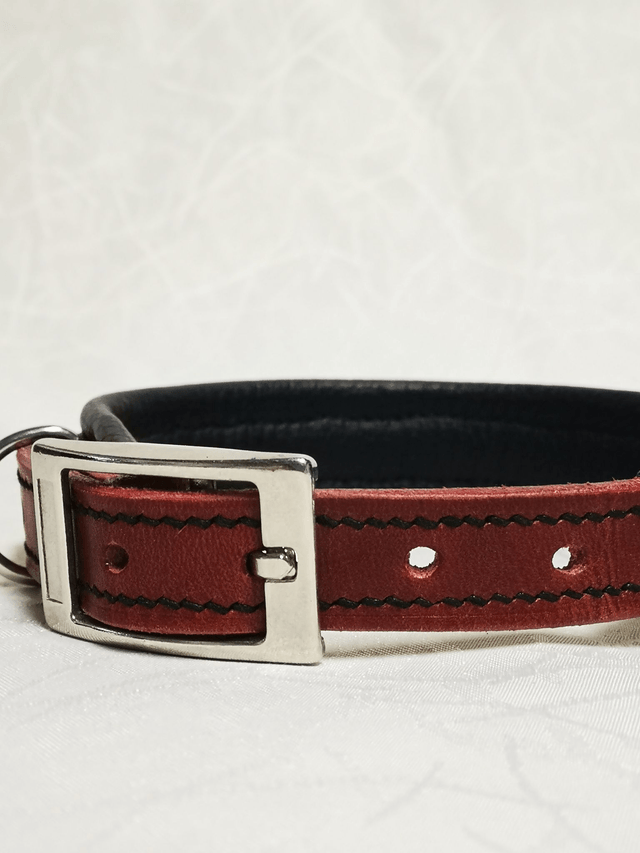 Collier pour chien "Écarlate"