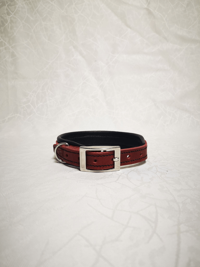 Collier pour chien "Écarlate"