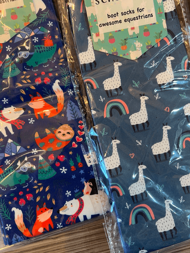 Chaussettes Dreamers N Schemers