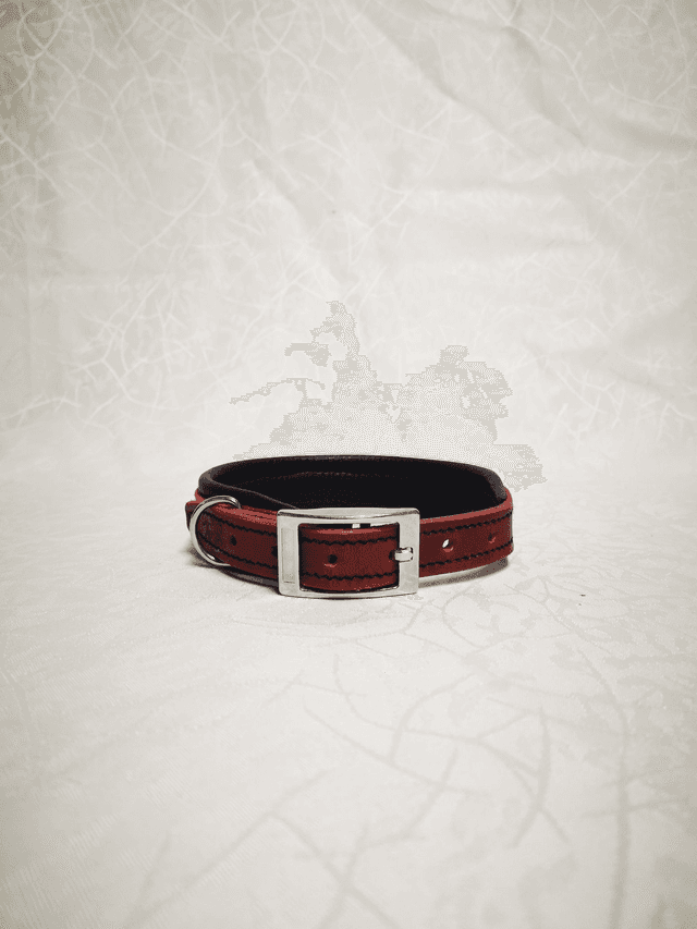 Collier pour chien &quot;Écarlate&quot;